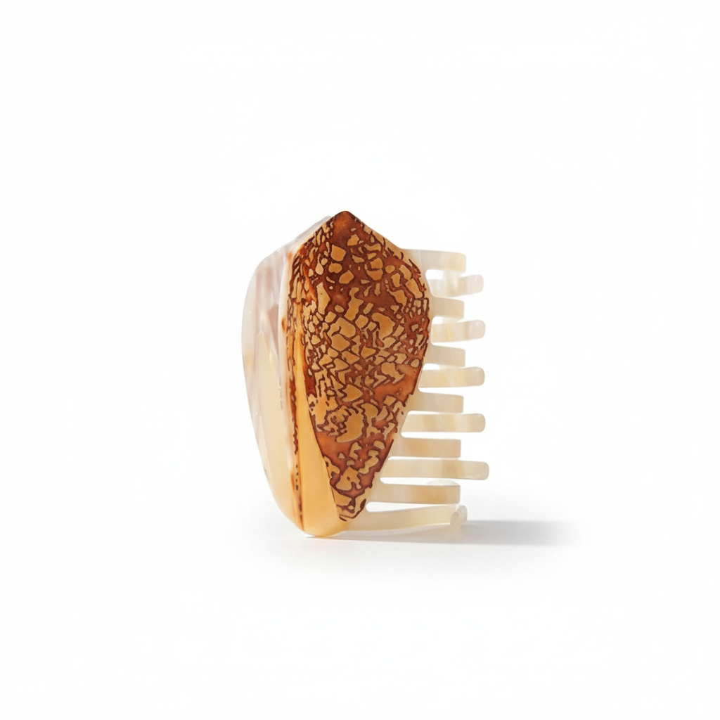 Cone Shell Hair Clip