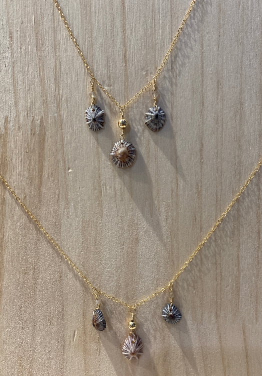 Opihi Shell Trio Choker Necklace