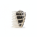 Shell Claw Clip